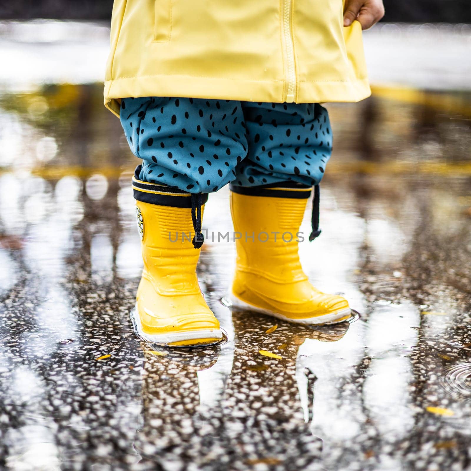 Small infant boy wearing yellow rubber boots and yellow waterproof raincoat standing in puddle on a overcast rainy day. Child in the rain