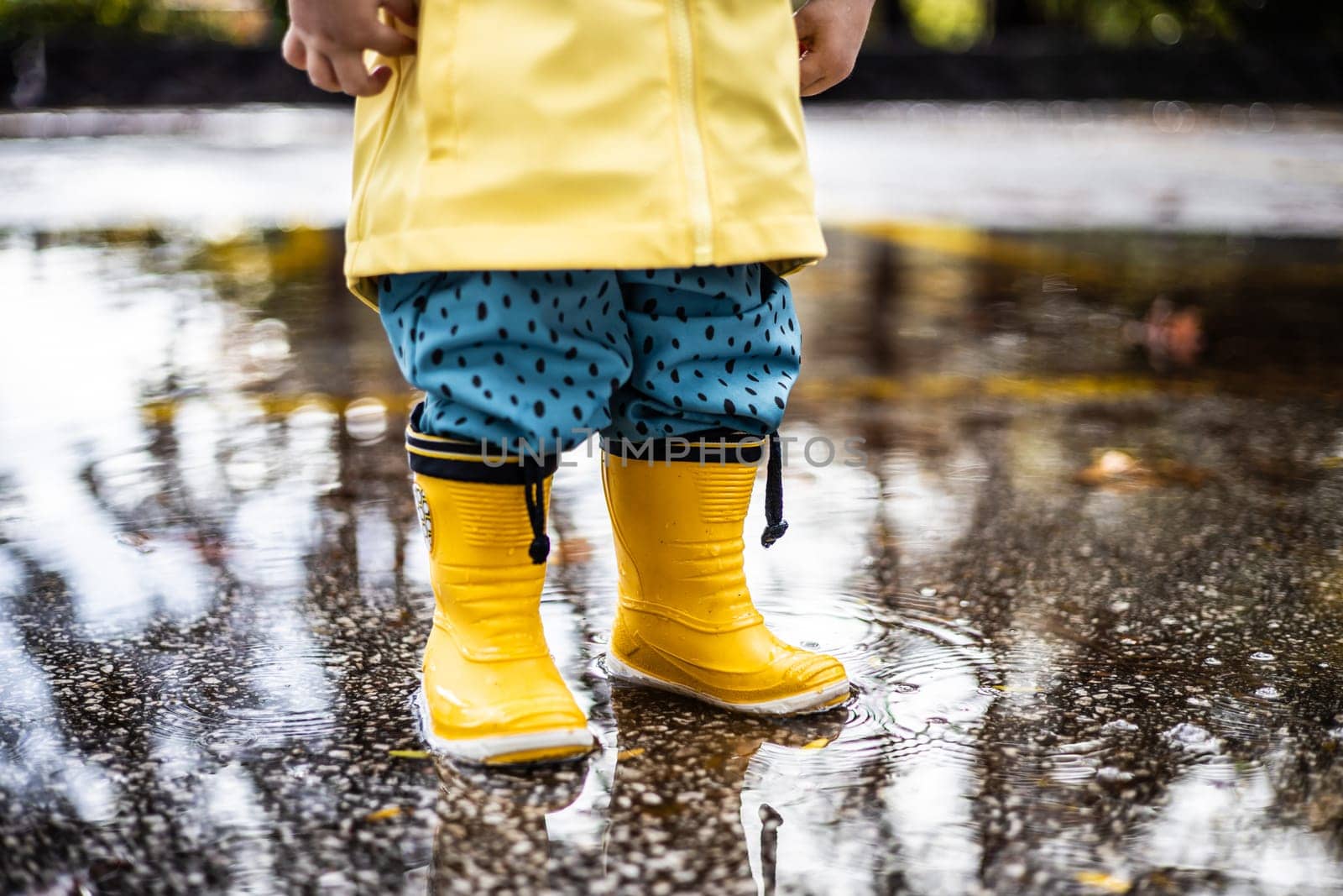 Small infant boy wearing yellow rubber boots and yellow waterproof raincoat standing in puddle on a overcast rainy day. Child in the rain