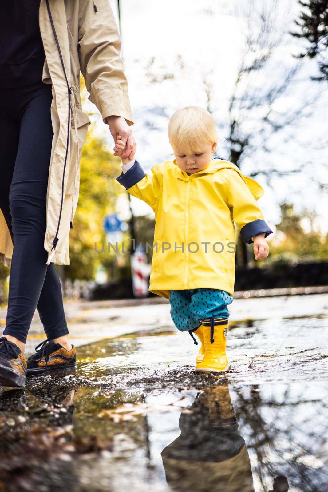 Small bond infant boy wearing yellow rubber boots and yellow waterproof raincoat walking in puddles on a overcast rainy day holding her mother's hand. Mom with small child in rain outdoors