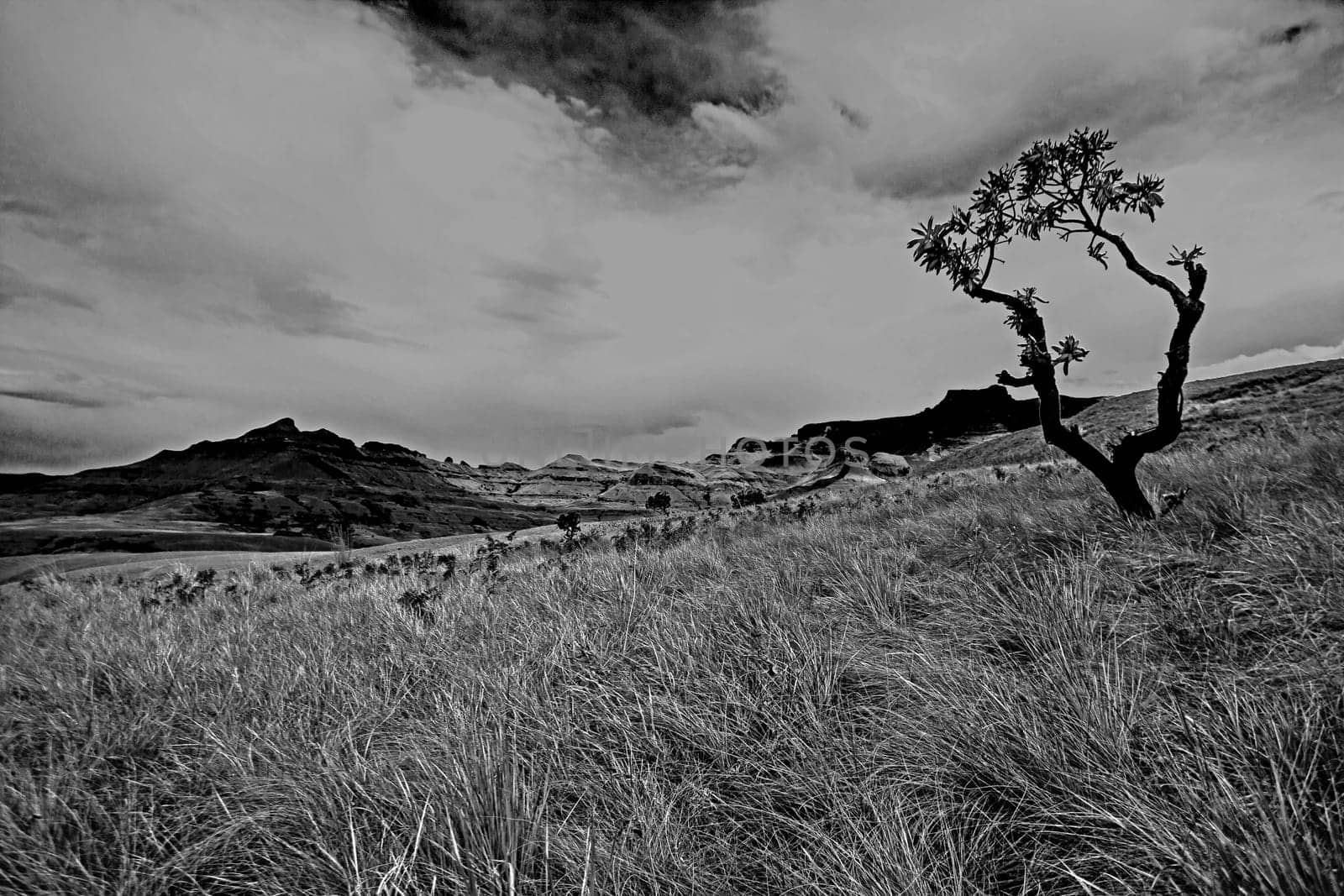 Monochrome mountain landscape seen from a hiking trail in the Royal Natal National Park in the Drakensberg South Africa
