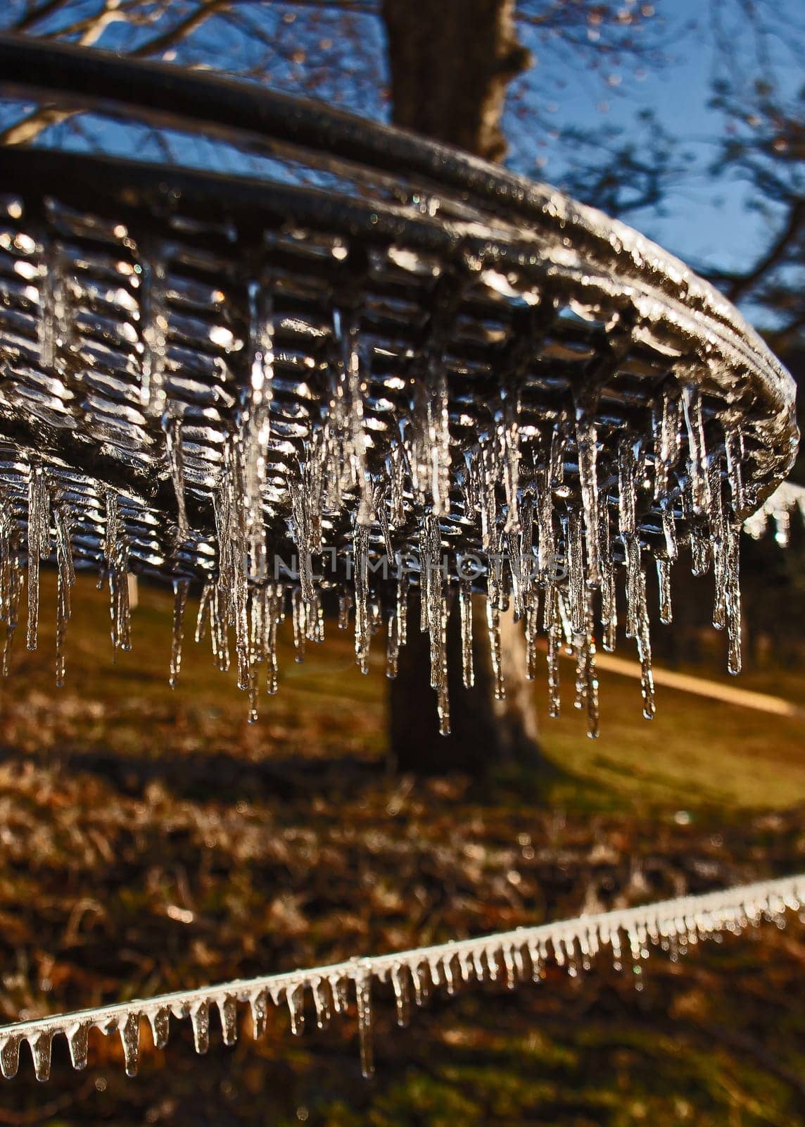 Icicles cought in the early morning rays at Mahai Campsite in the Drakensberg South Africa
