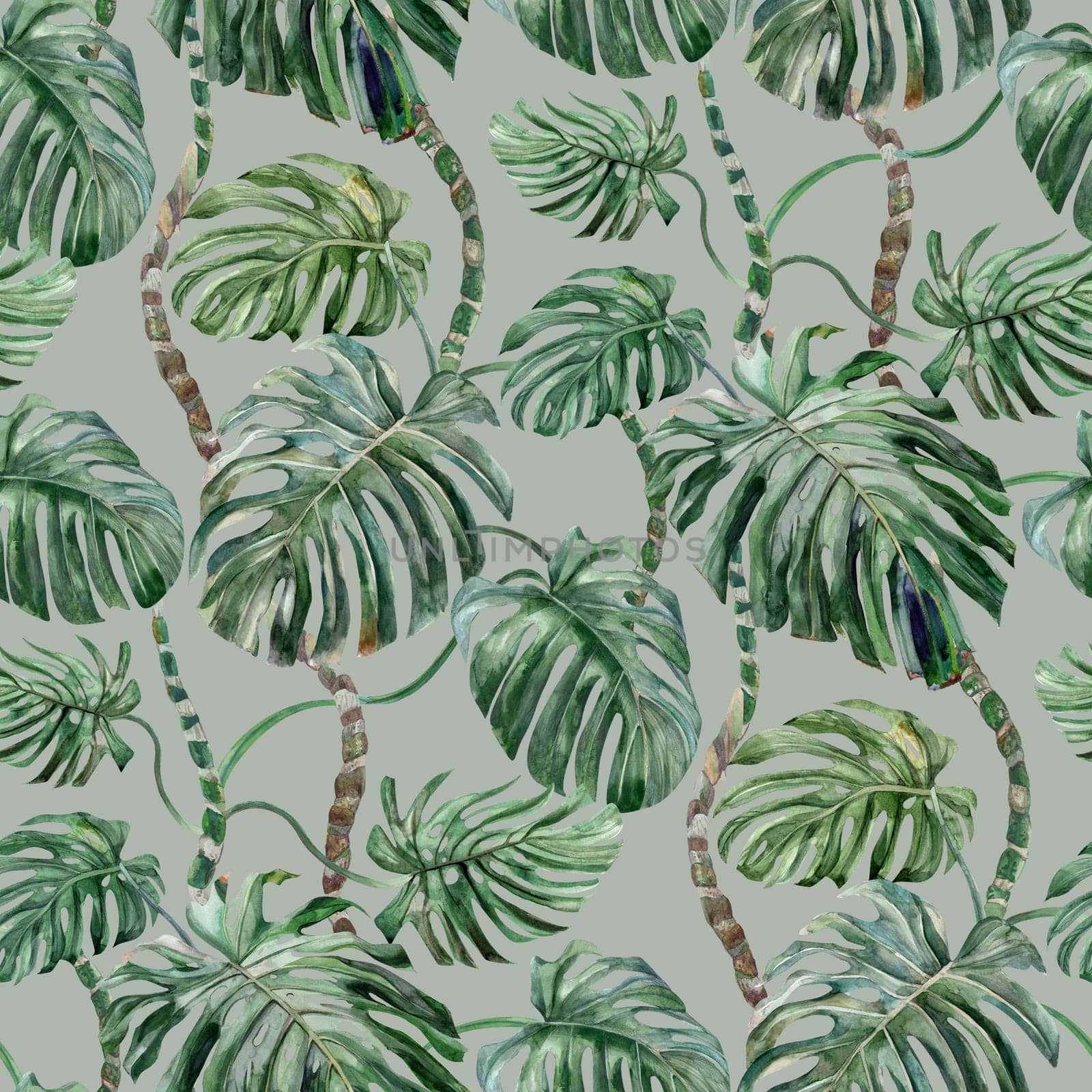 Seamless pattern with monstera flower painted in watercolor on a gray background by MarinaVoyush