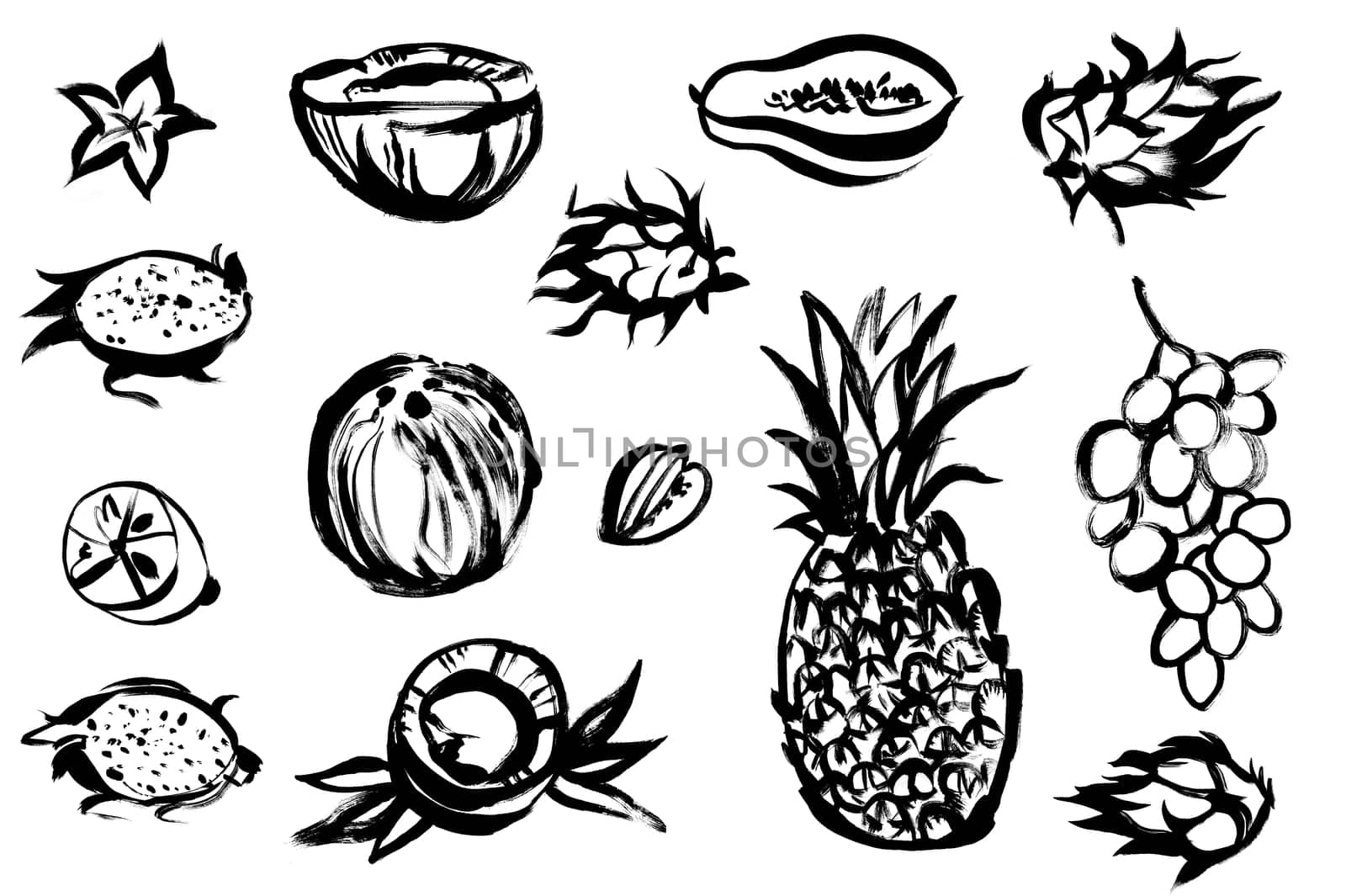 set of tropical fruits drawn in black paint on a white background for prints for textiles and surface design and food industry