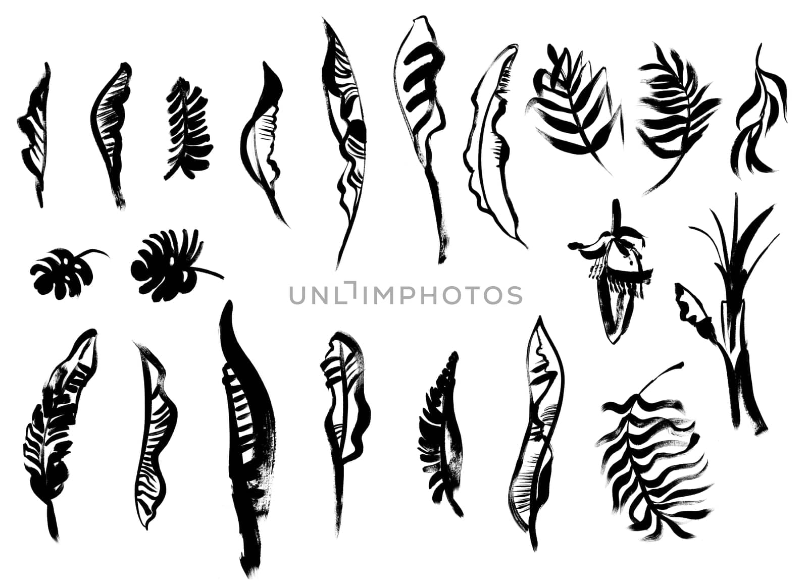 set of banana palm and leaves painted in black paint on a white background by MarinaVoyush
