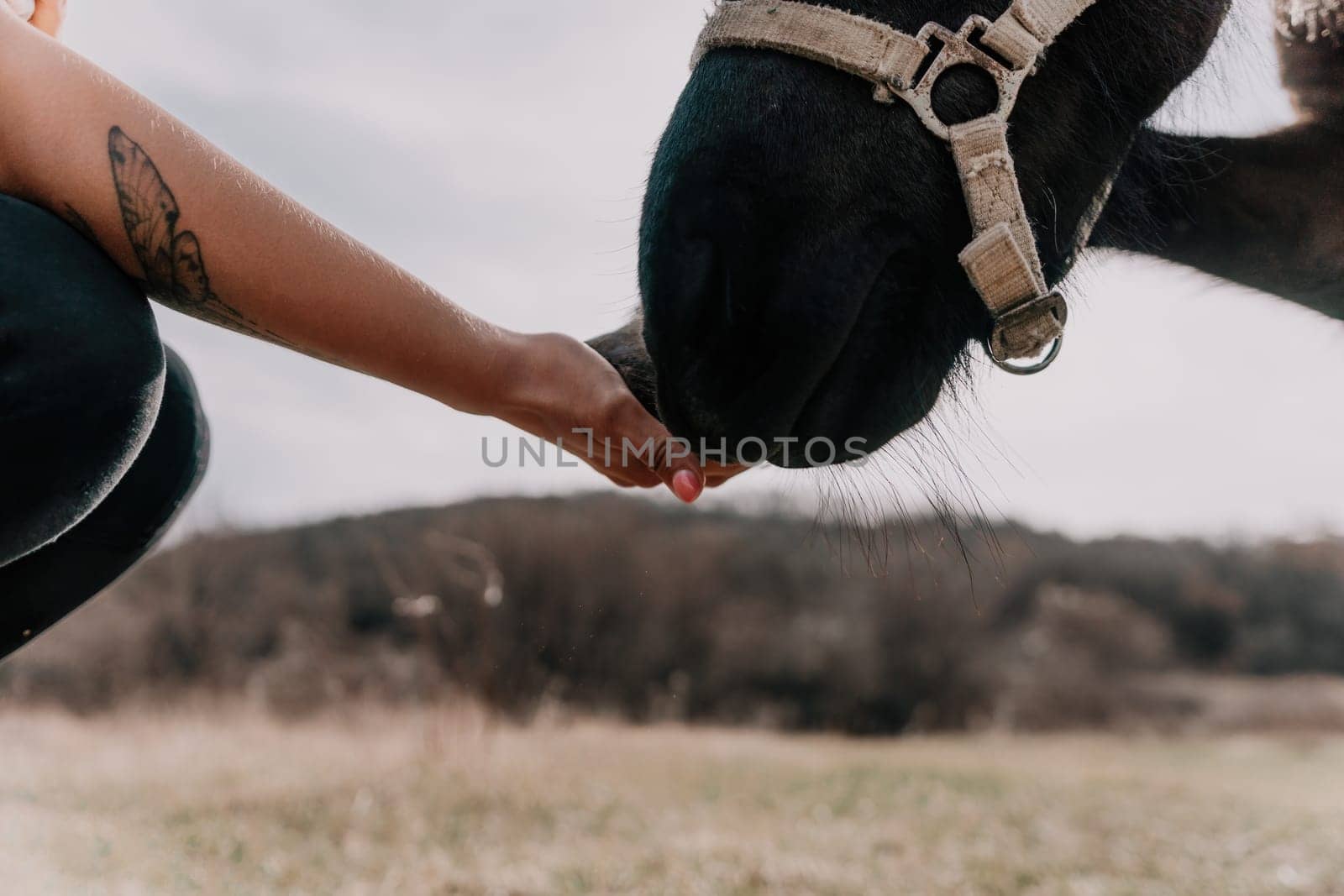 Cute happy young woman with horse. Rider female drives her horse in nature on evening sunset light background. Concept of outdoor riding, sports and recreation.