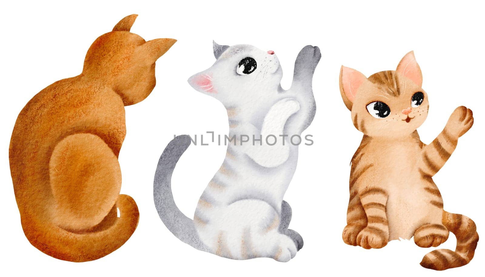 Set of cute funny cats in full growth. Isolated watercolor elements. A red tabby cat stretches with a paw. The grey cat is playing. The Abyssinian cat looks down. Postcard, wrap, poster textile, book.