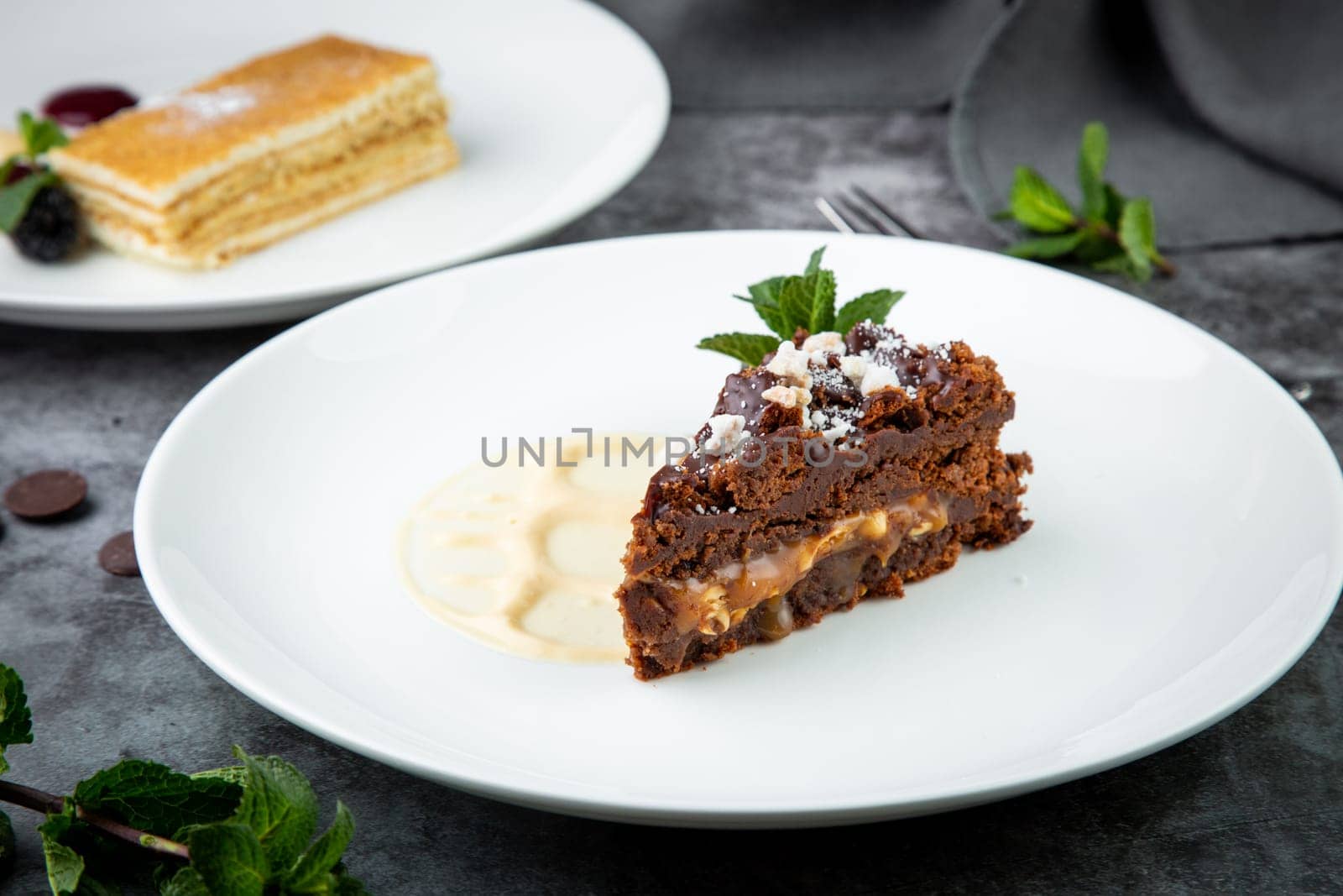 gluten-free chocolate cake with powdered sugar and mint side view by tewolf