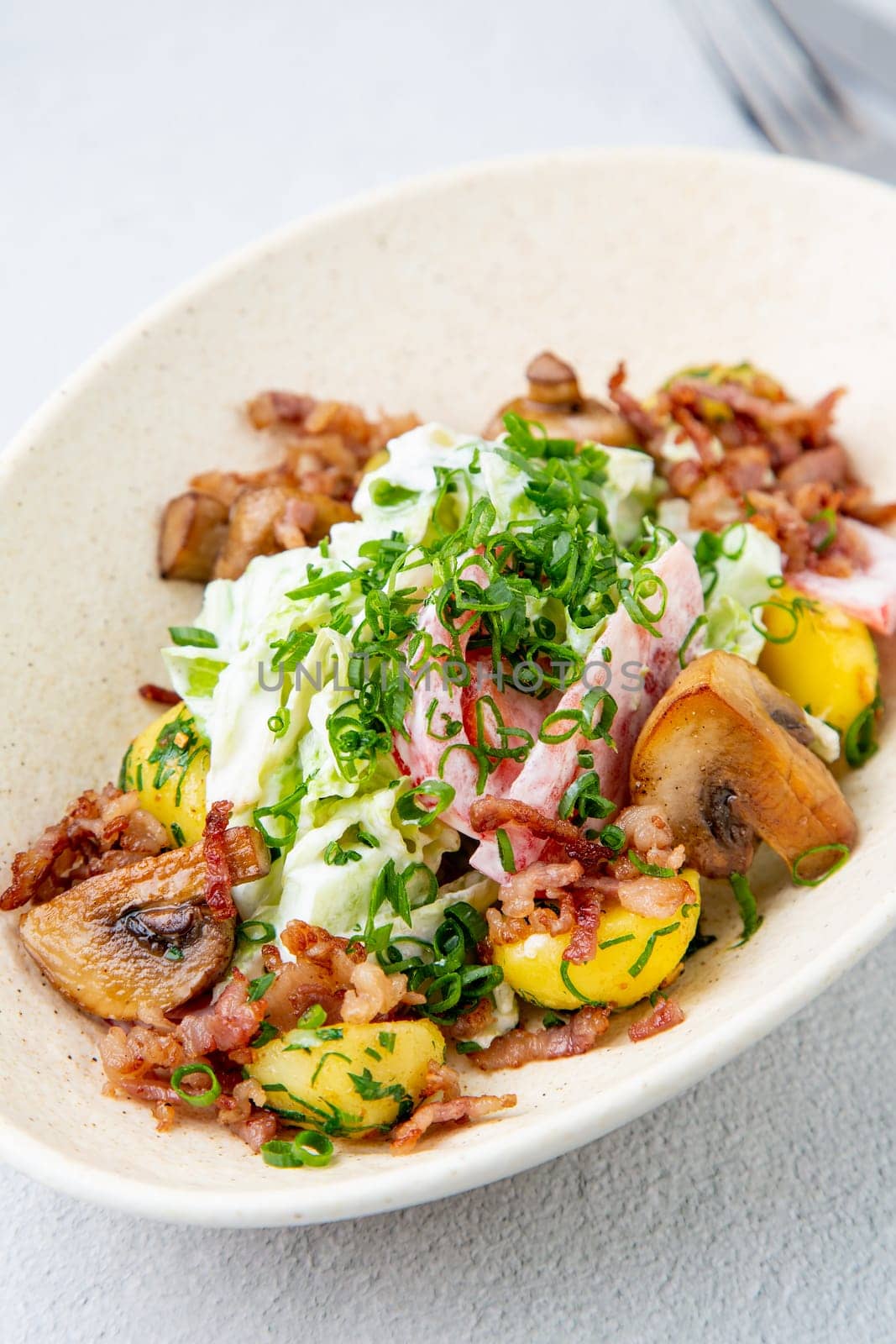 salad with potatoes, rice, meat and green onions