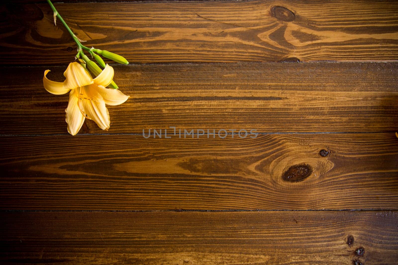 bouquet of beautiful yellow lilies on a dark wooden table