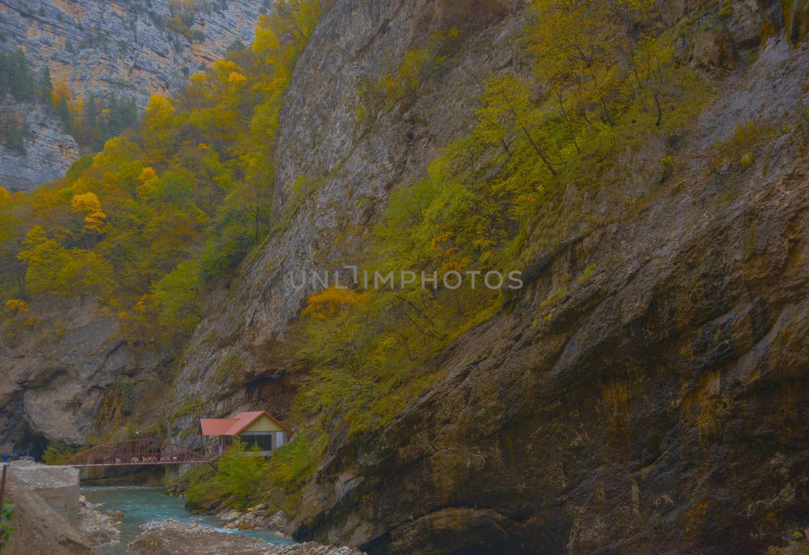 Scenic view of trees and river in the mountains in autumn.