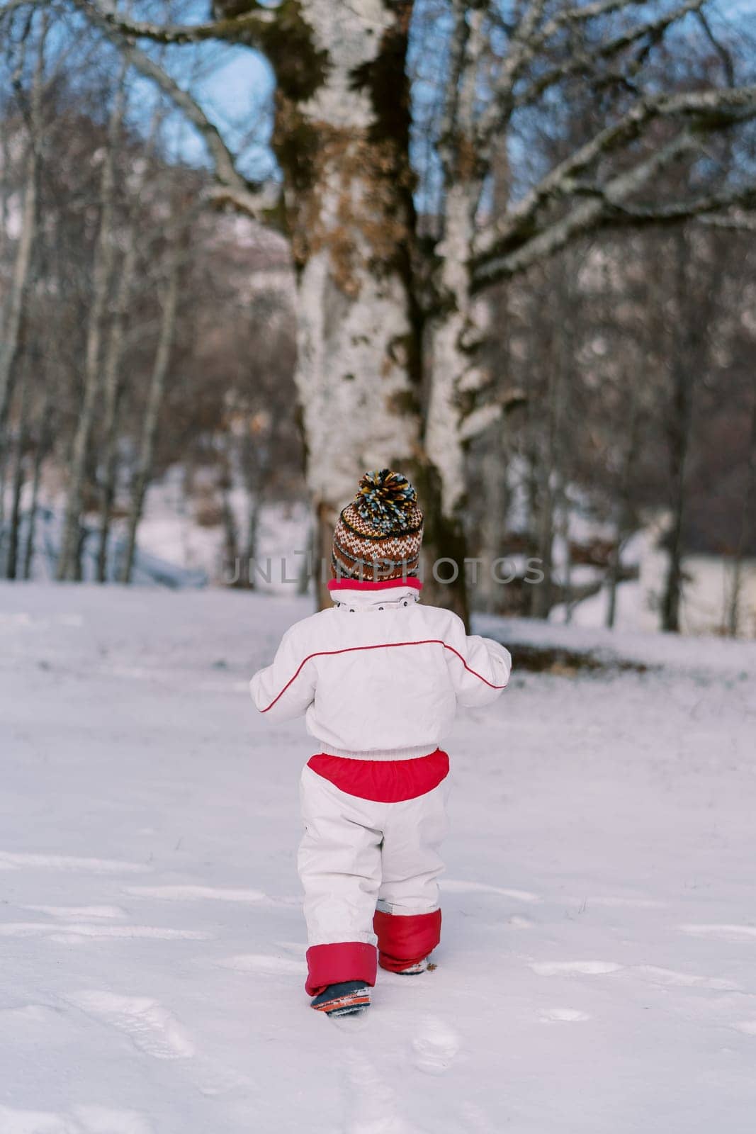 Little child walks through the snowdrifts in the winter forest. Back view. High quality photo