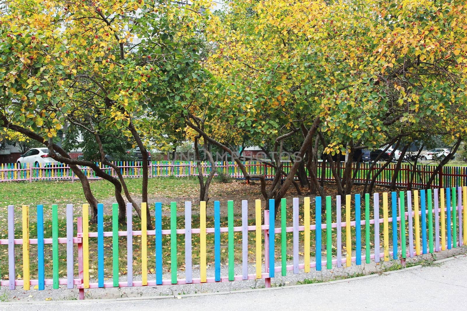 Photo a lawn fenced with colorful wooden fences with growing fruit trees. The yard of the house.