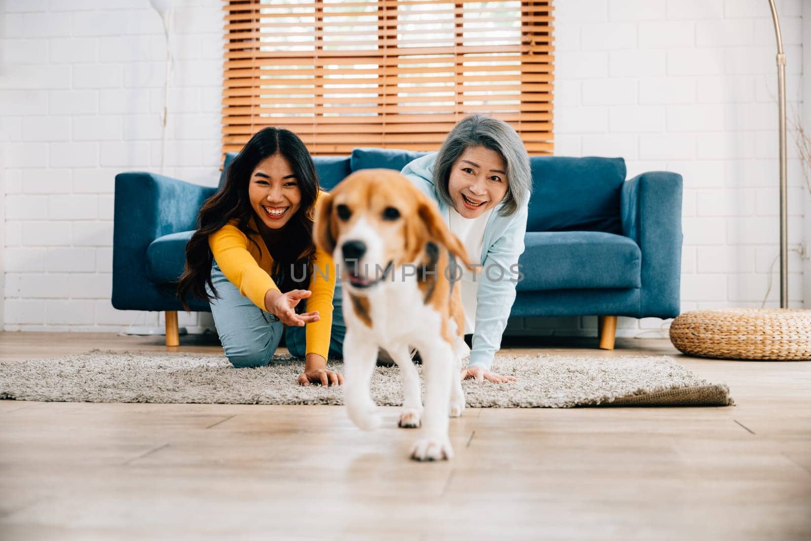In the comfort of their home, a cheerful woman and her mother playfully run with their Beagle dog in the living room. Their friendly bond and weekend activity bring joy to the scene. pet love by Sorapop