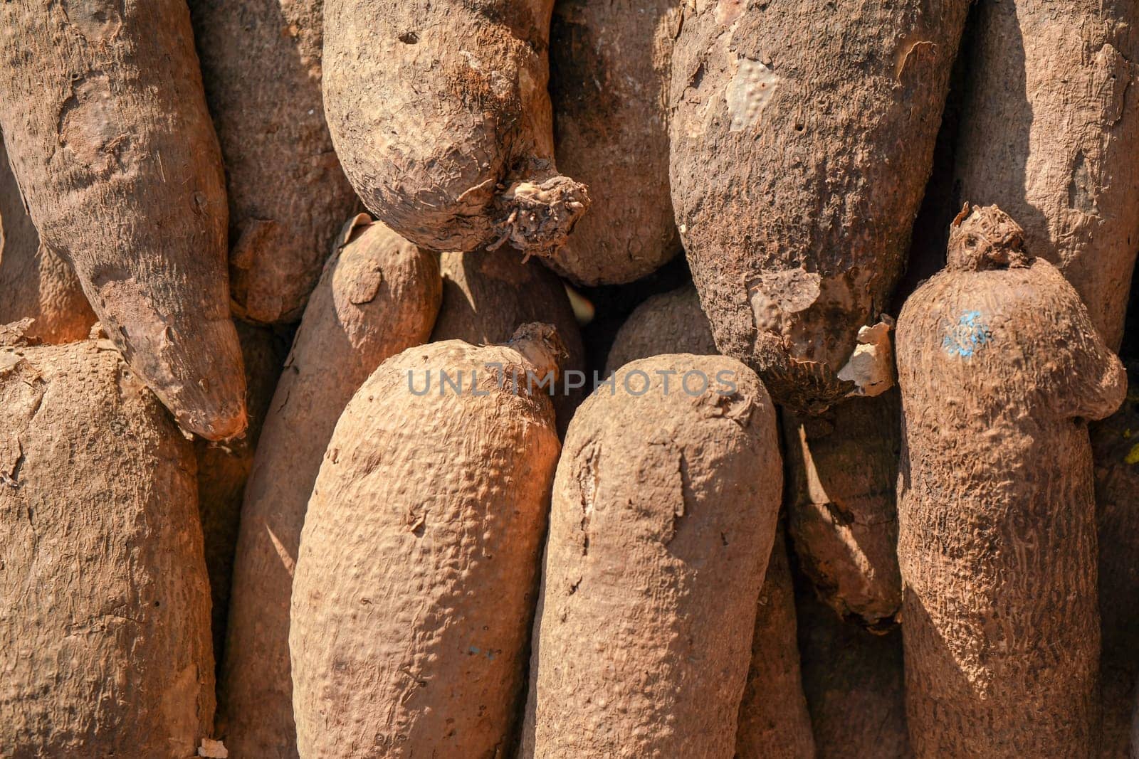 Sun shines on puna yams (Dioscorea) displayed at food market.