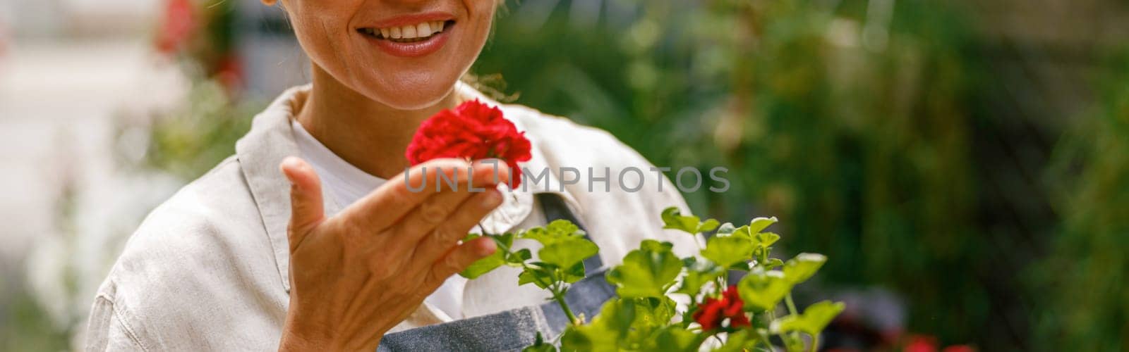 Smiling female florist wearing apron taking care of houseplant in flower shop. Plant care concept by Yaroslav_astakhov