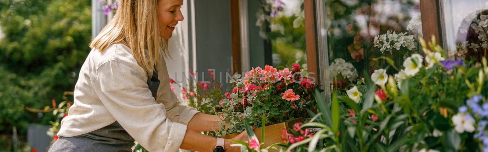 Female florist wearing apron taking care of houseplant in flower shop. Plant care concept by Yaroslav_astakhov