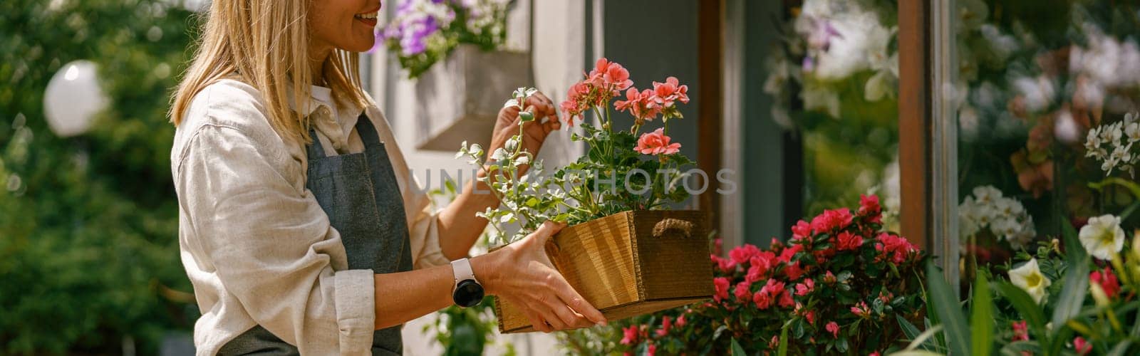 Close up of florist wearing apron taking care of houseplant in flower shop. Plant care concept by Yaroslav_astakhov