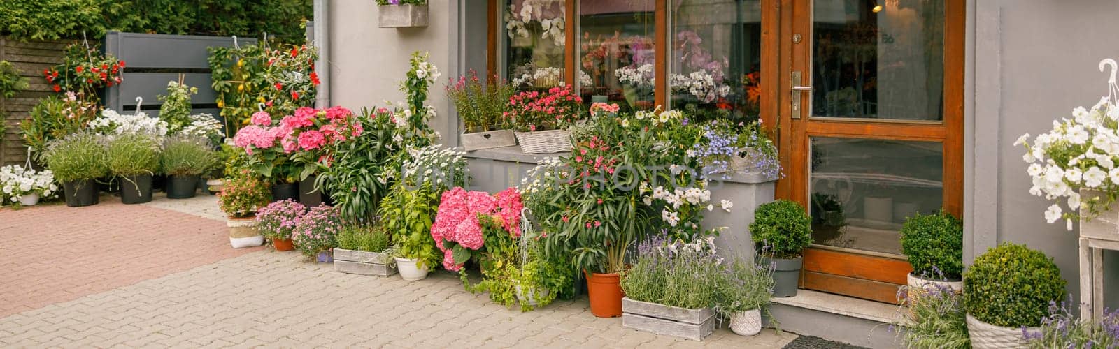 Facade of beautiful flower shop with different housplants and flowers on sunny day by Yaroslav_astakhov