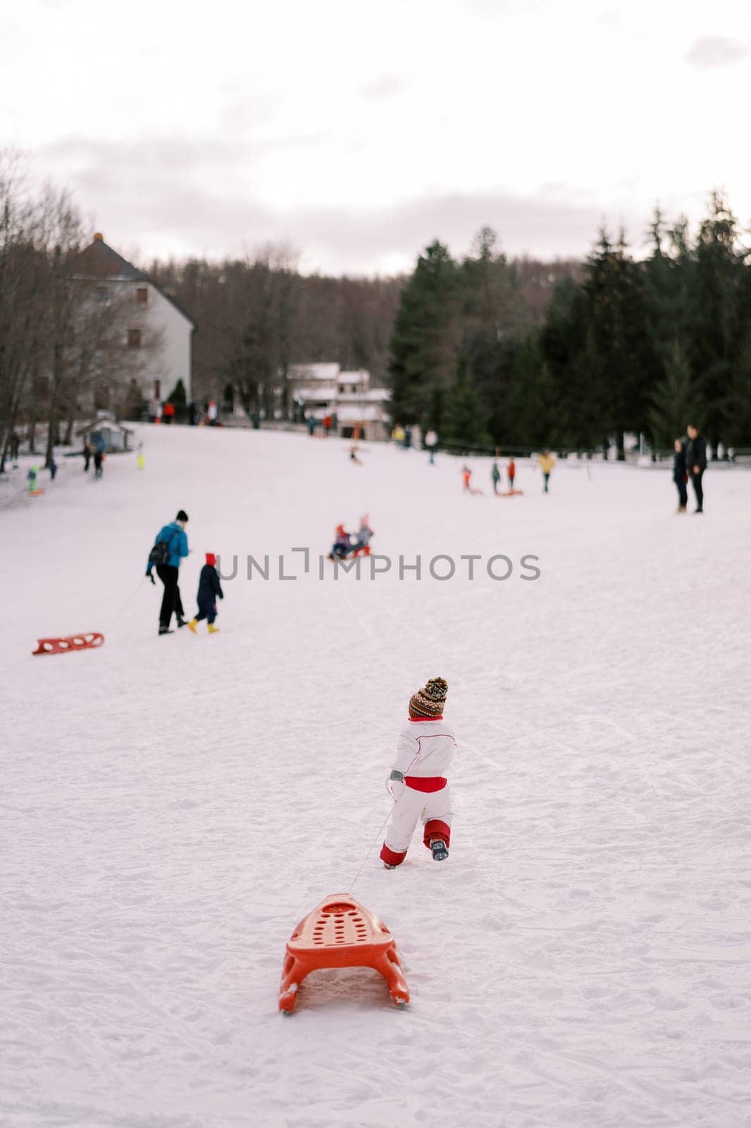 Small child in overalls drags a sled along a rope on a hill. Back view. High quality photo
