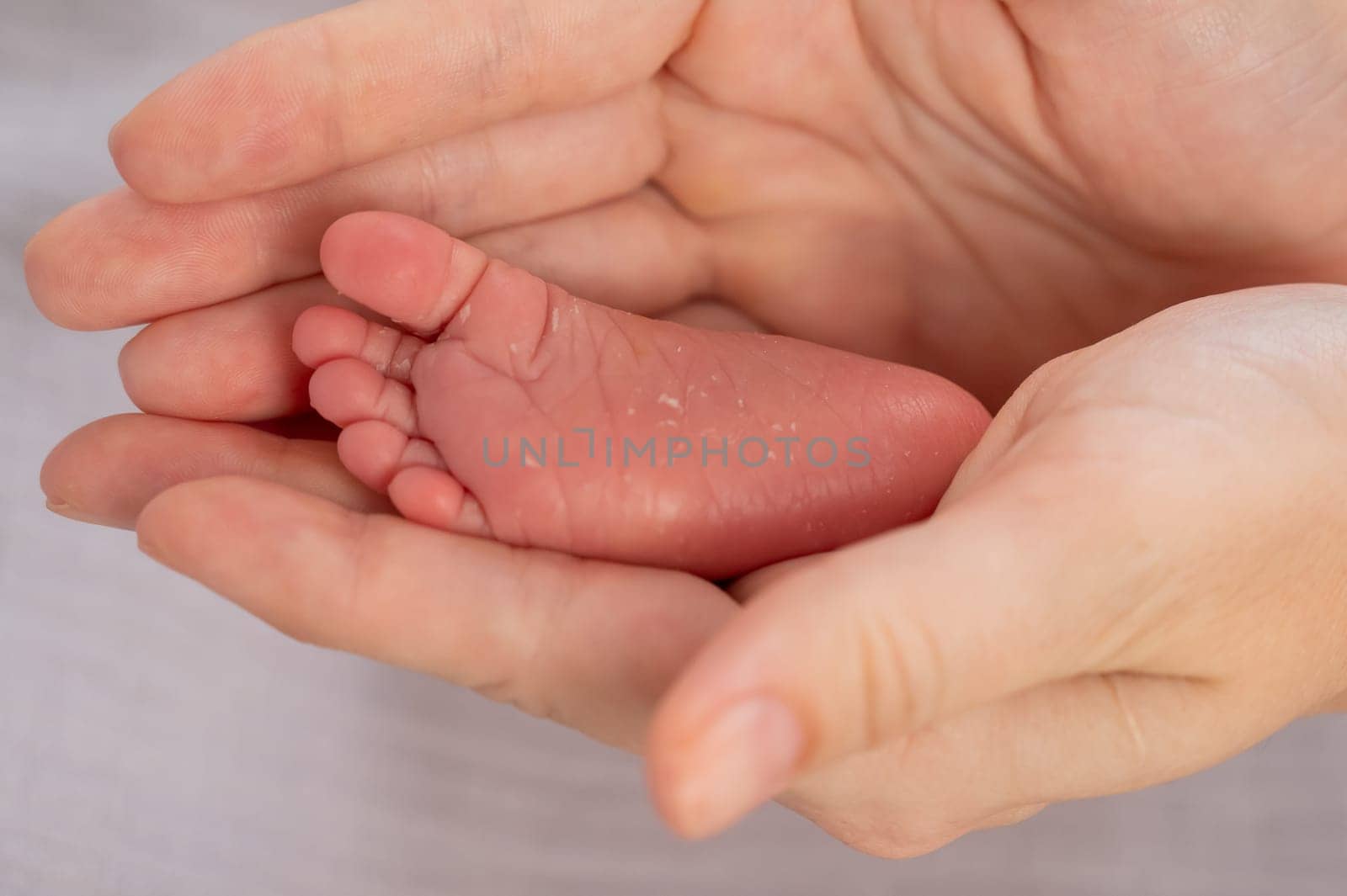 A young mother holds the foot of her newborn son. Close-up of female hands. by mrwed54