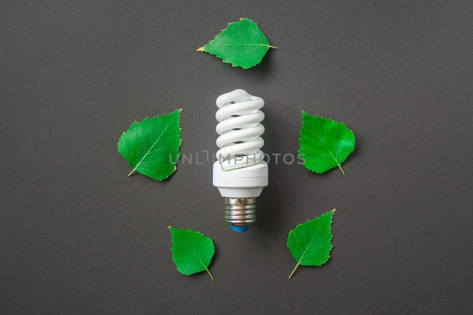 Light bulb with green leaves on black background by Quils