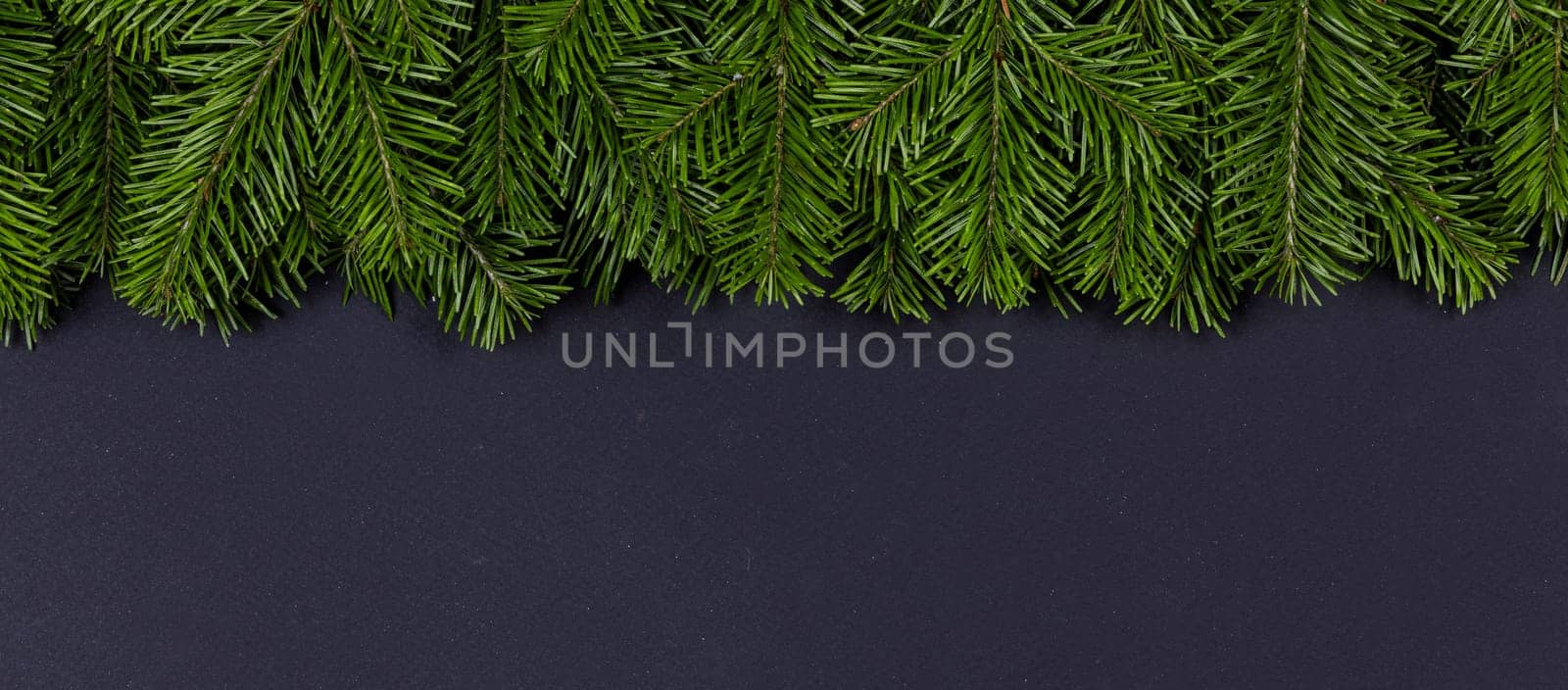 Christmas fir tree on black background by Yellowj
