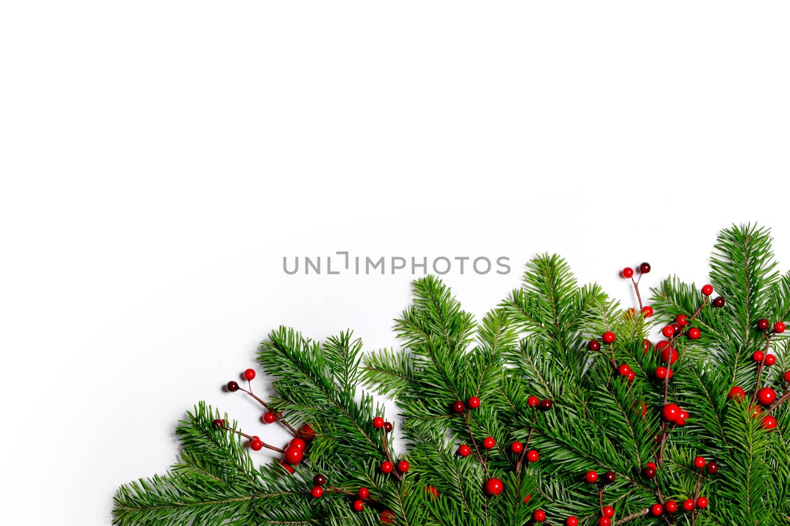 Fir branches on white by Yellowj