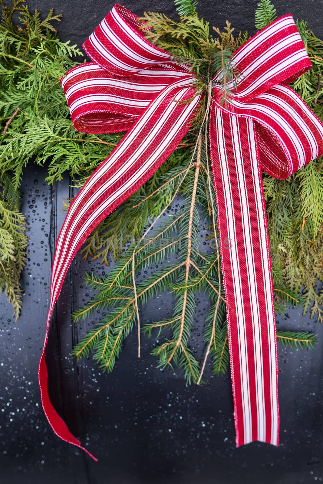 Red and white striped ribbon tied in a bow on a black background with greenery. Festive decoration on the street