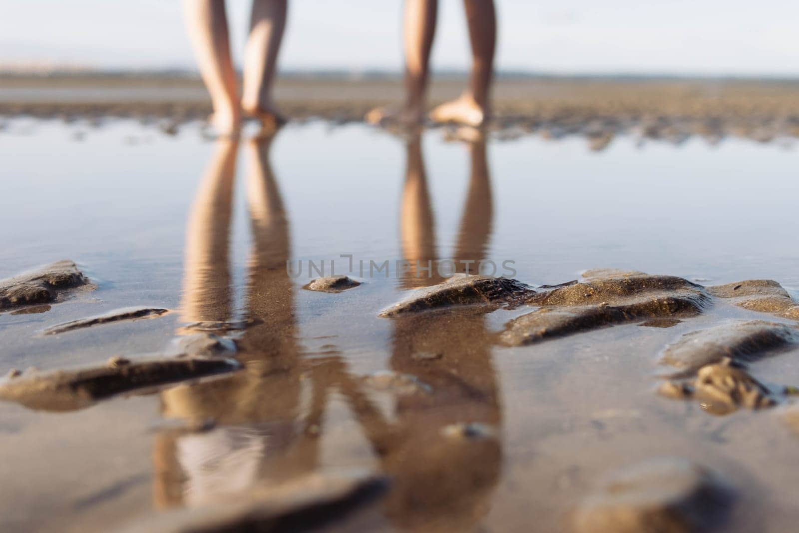 mothers in a white t-shirt and brown shorts with a daughter in a purple swimsuit walk along the beach reflection in the water in full growth photo of the legs.beach landscape. High quality photo