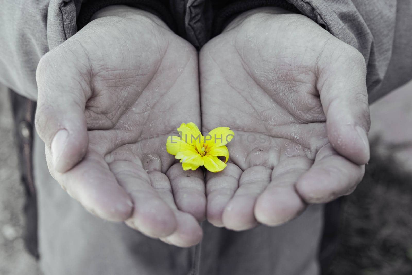 black and white photo of child in the palms of yellow flower close-up by PopOff