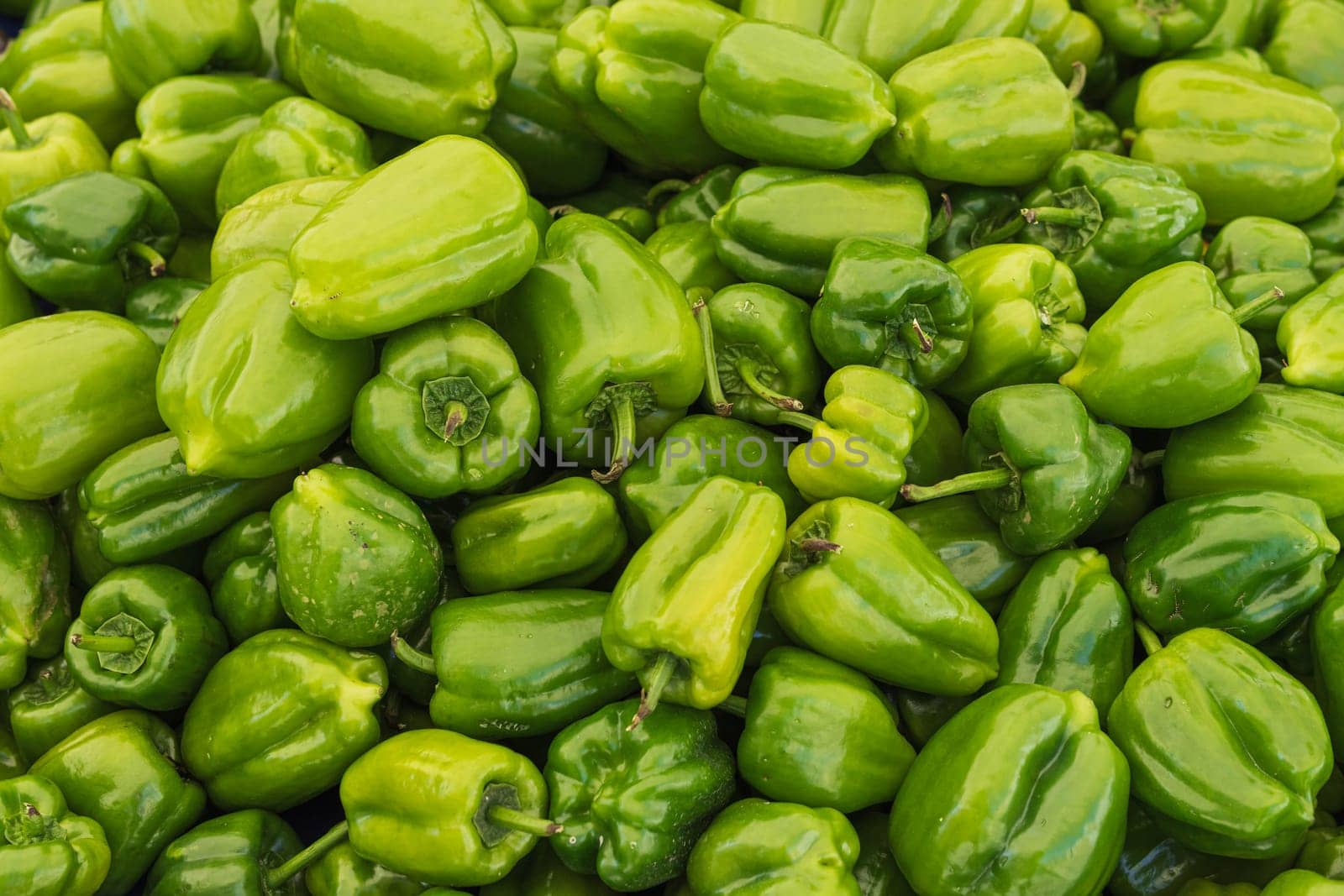 a lot of green peppers in the market on the counter, the background by PopOff