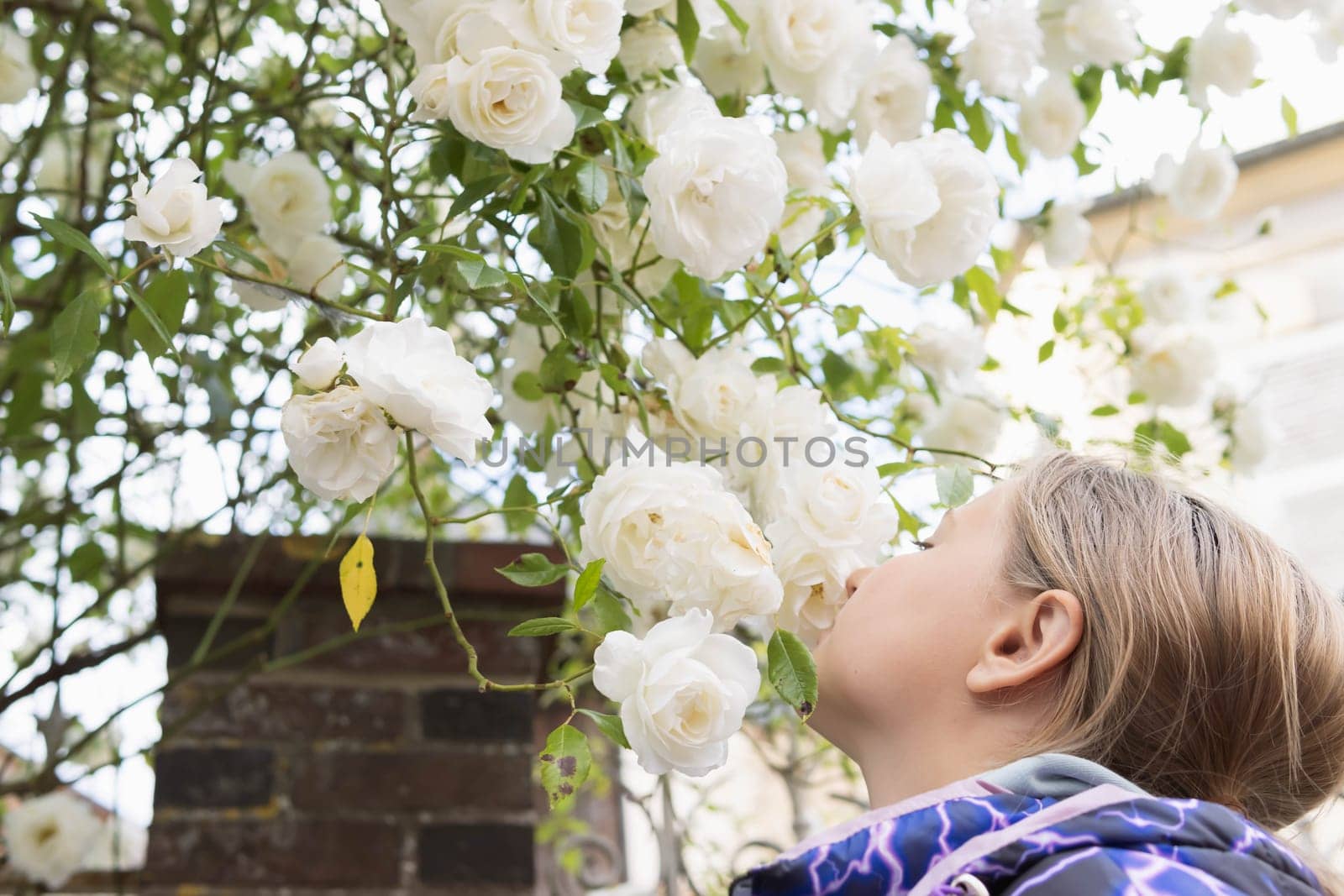 A teenager of European appearance with blond hair stands sniffing white flowers on a tree.Flowers in focus. High quality photo