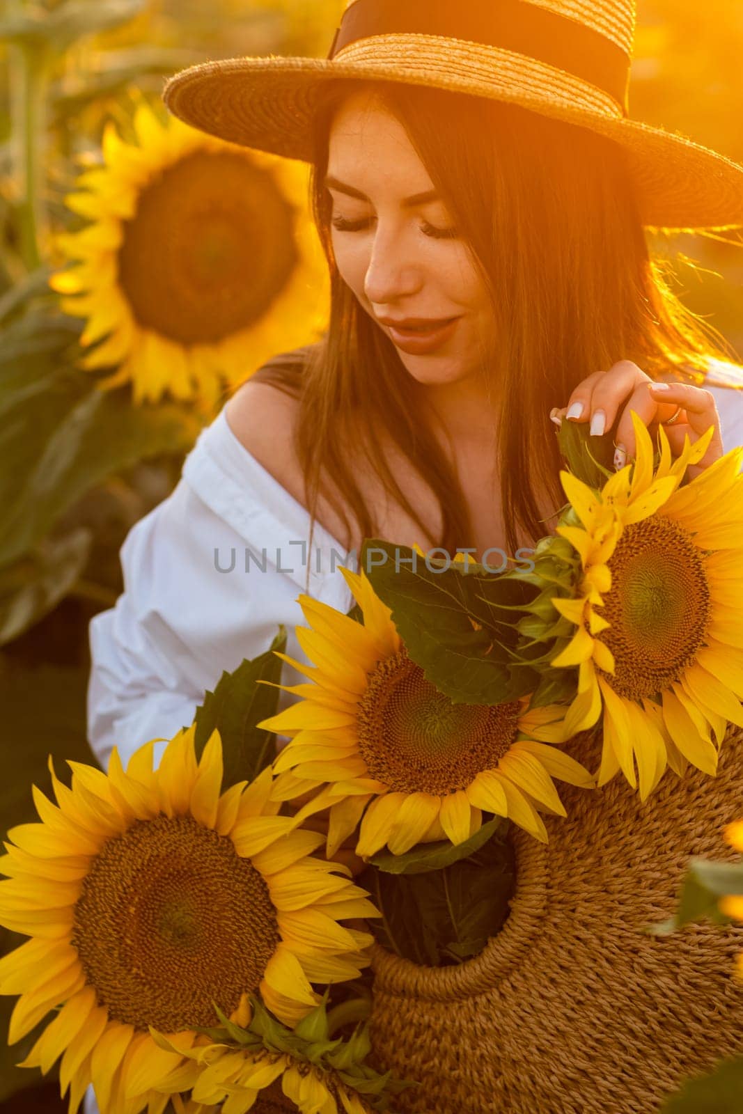 A girl in a hat on a beautiful field of sunflowers against the sky in the evening light of a summer sunset. Sunbeams through the flower field. Natural background