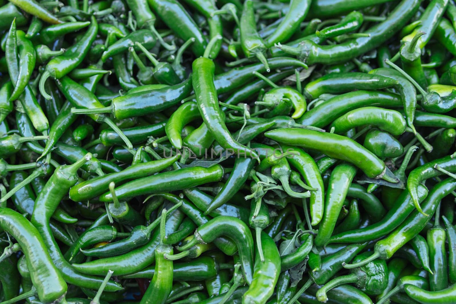 big harvest of green chili peppers.Close-up background by PopOff