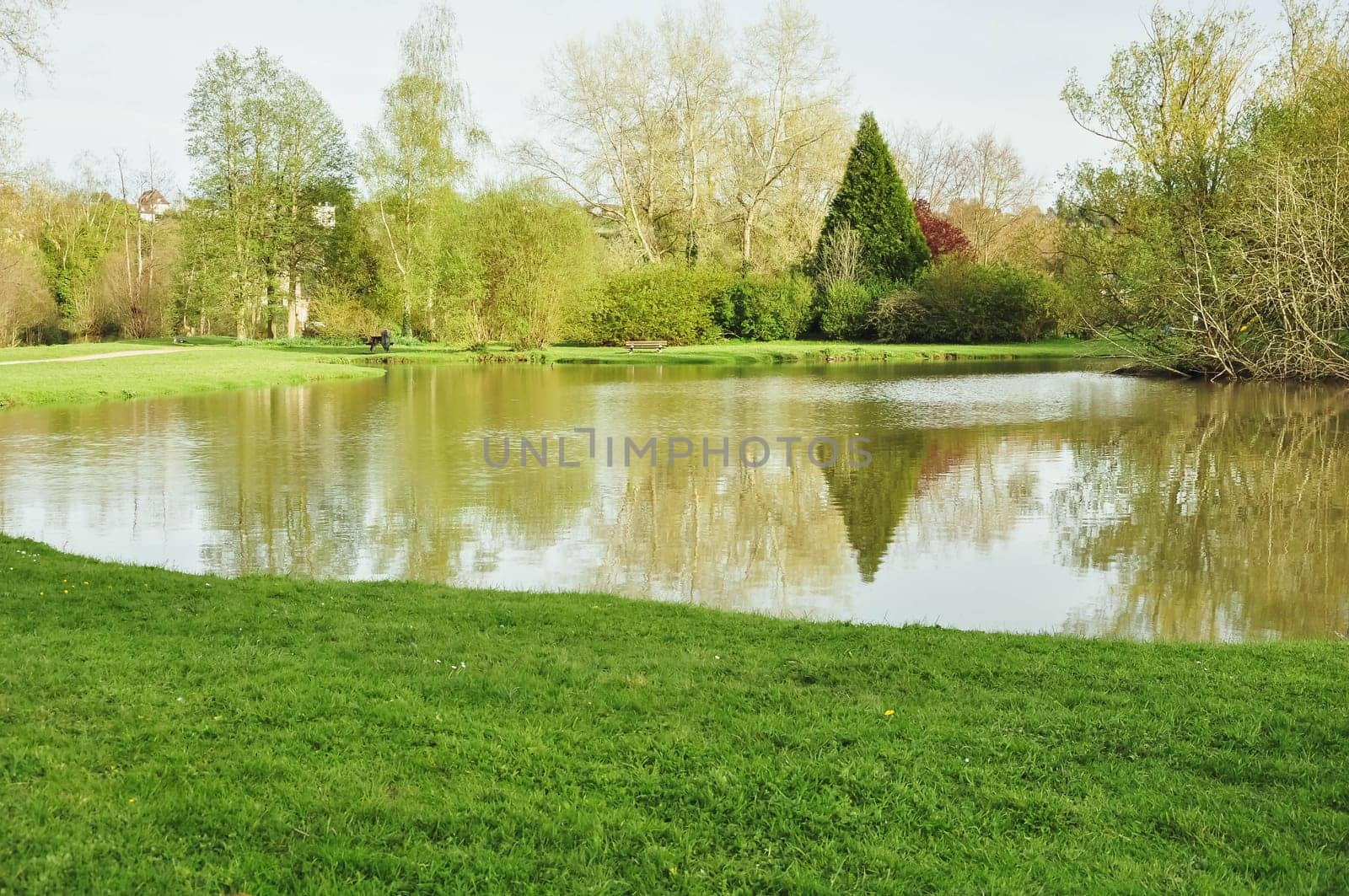 a large lake with fish in the park a beautiful landscape and by PopOff