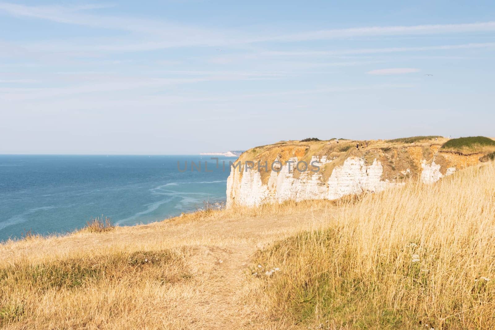 view from the mountain to the ocean, around the dry grass all around on the mountain. Beautiful landscape near the sea. by PopOff