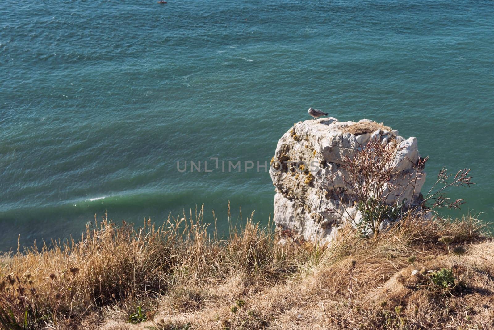 beautiful view from the mountain to the sea on the mountain dry grass and stone. High quality photo