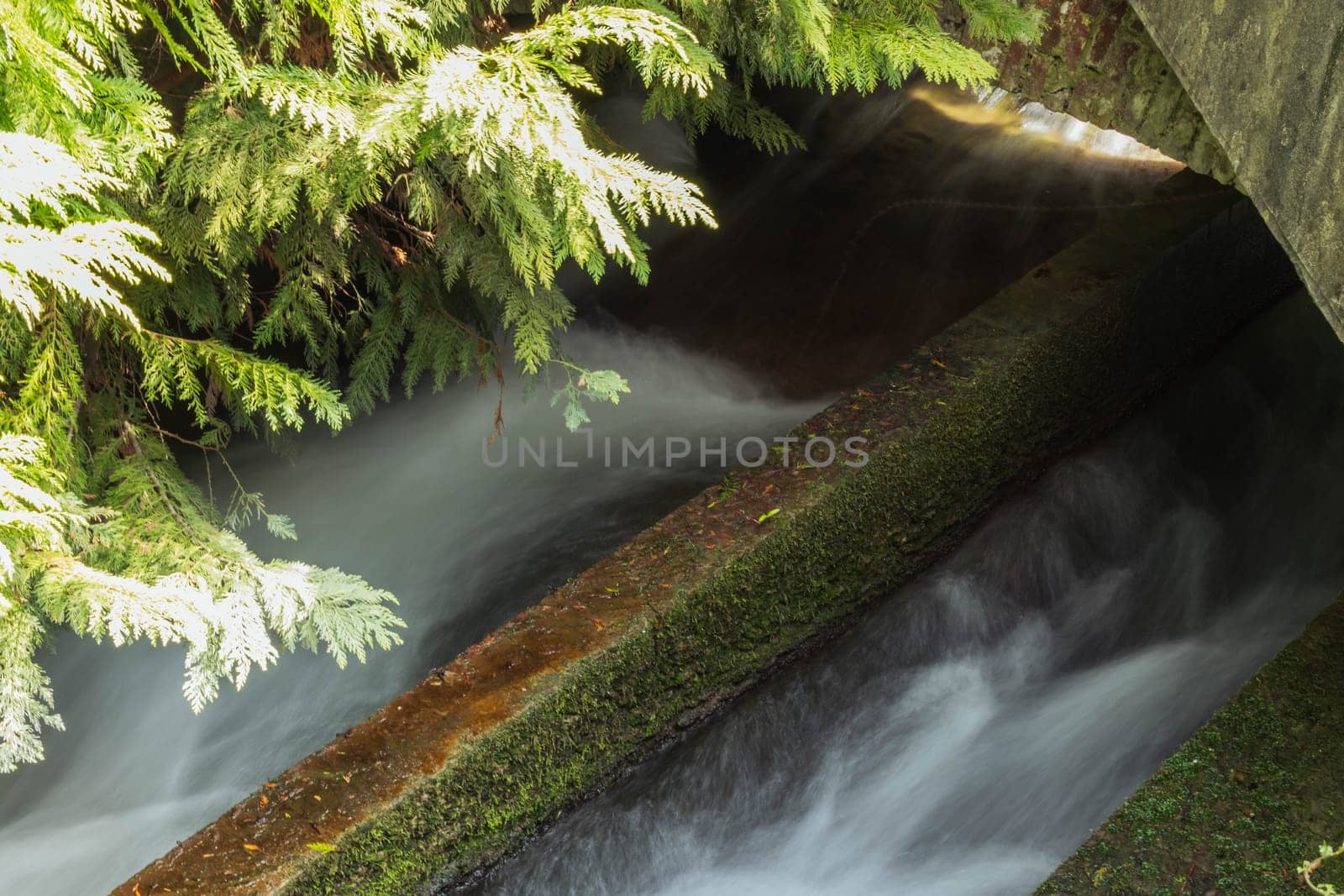 the stream flows through the houses and the park. The water flows quickly. High quality photo