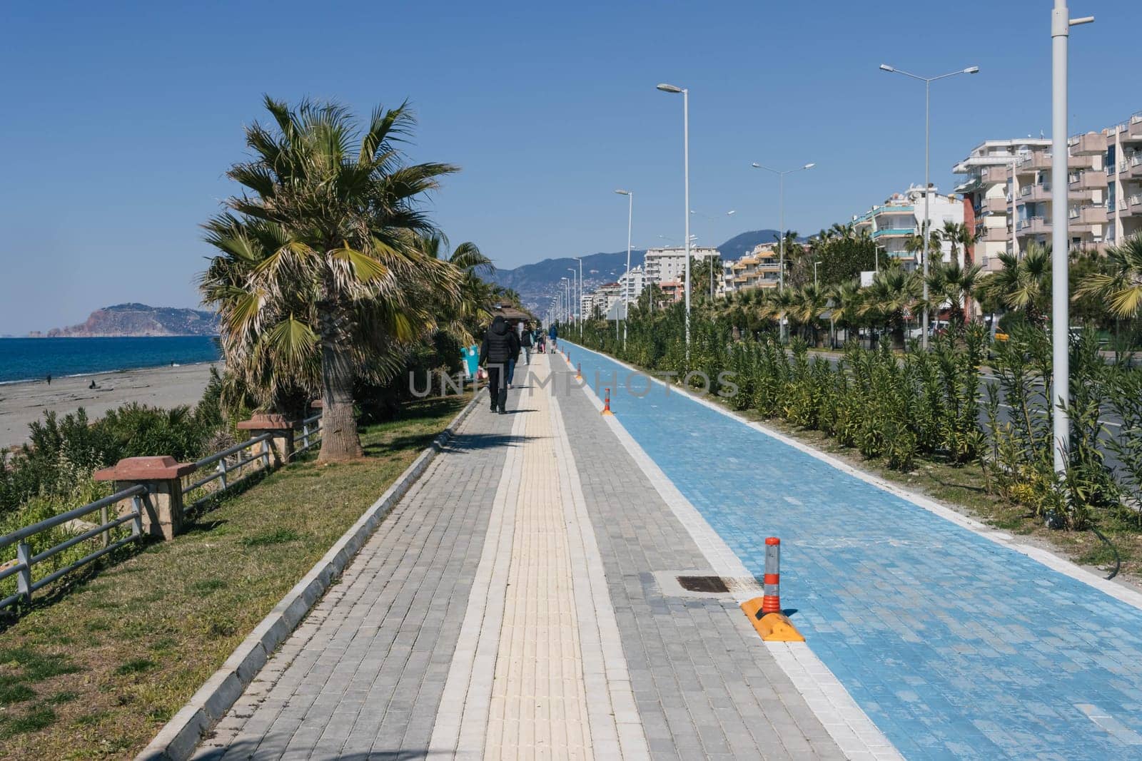 A blue cycle path and a path for pedestrians. Around the green trees and palm trees on the seashore. High quality photo