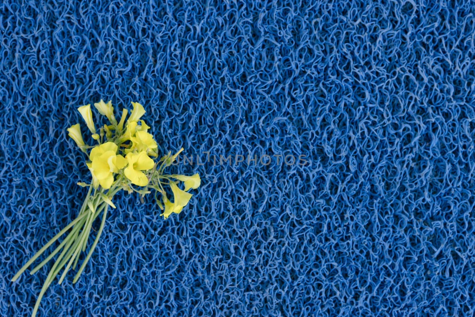 yellow flowers on a blue background, the flag of Ukraine. by PopOff