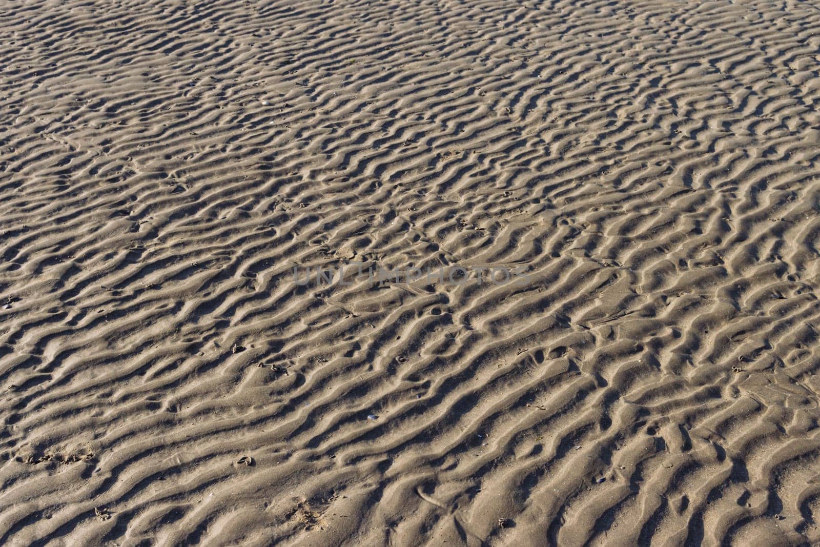 the background of the sand is ribbed and wet after the tide of water on the empty beach. There is a place for the inscription Beautiful landscape and splash. High quality photo