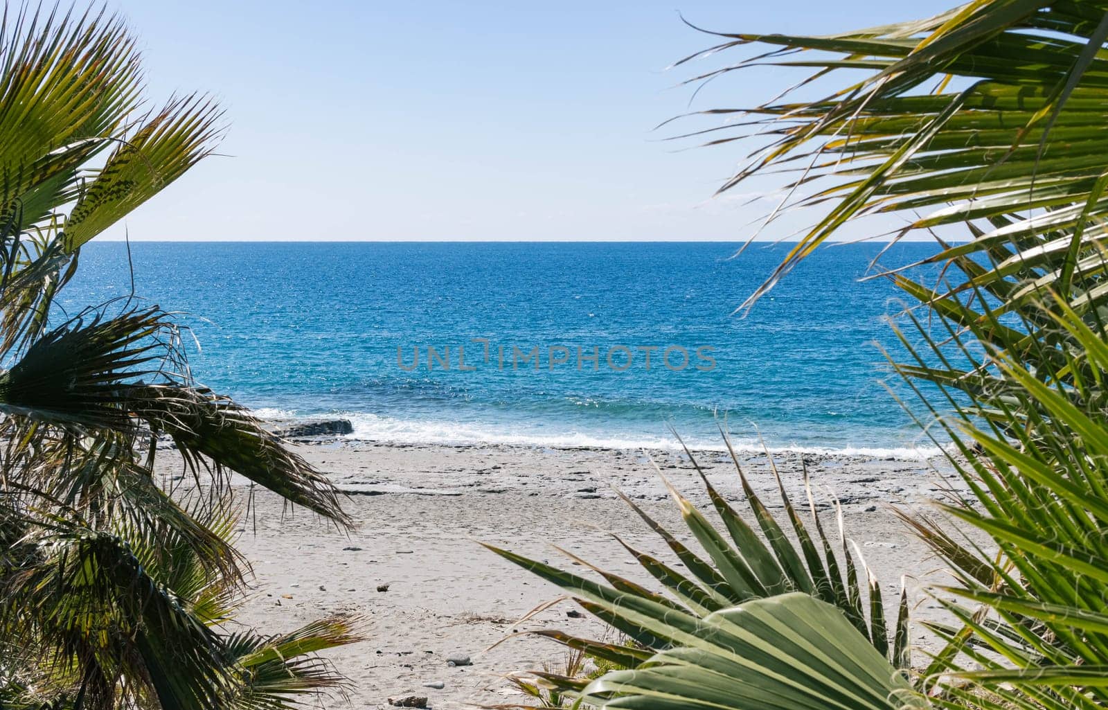 Beautiful view of the seashore, sandy beach, sea, view from green palm trees. The background is beautiful, a place for an inscription. High quality photo