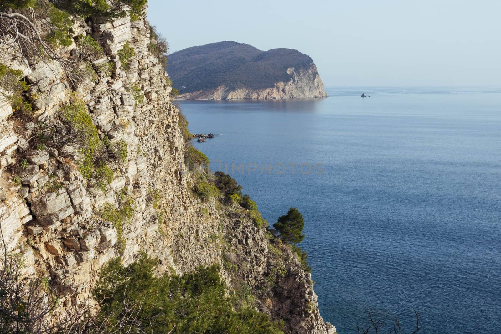 view from the mountain to the sea, around the green pines on the mountain. Beautiful landscape near the sea. High quality photo