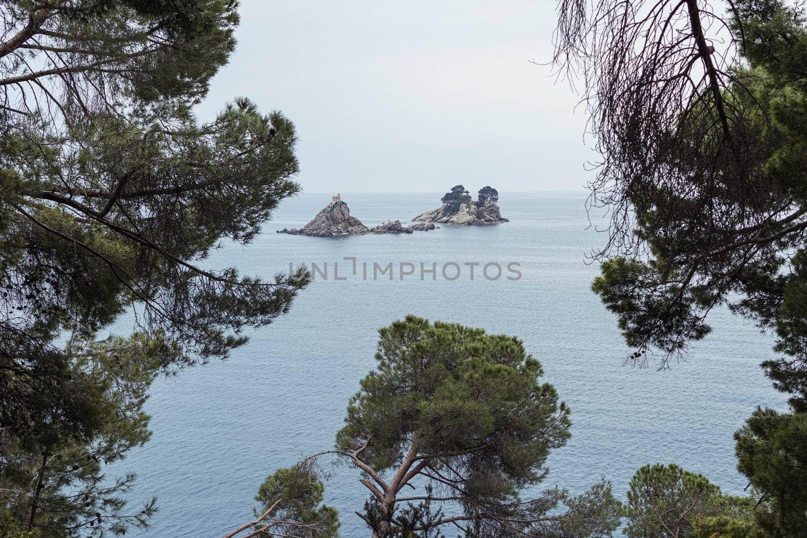 an island on the Adriatic Sea, in the Montenegrin municipality of Budva. It is located opposite the city of Petrovac na Moru in Montenegro. It has a small church. High quality photo