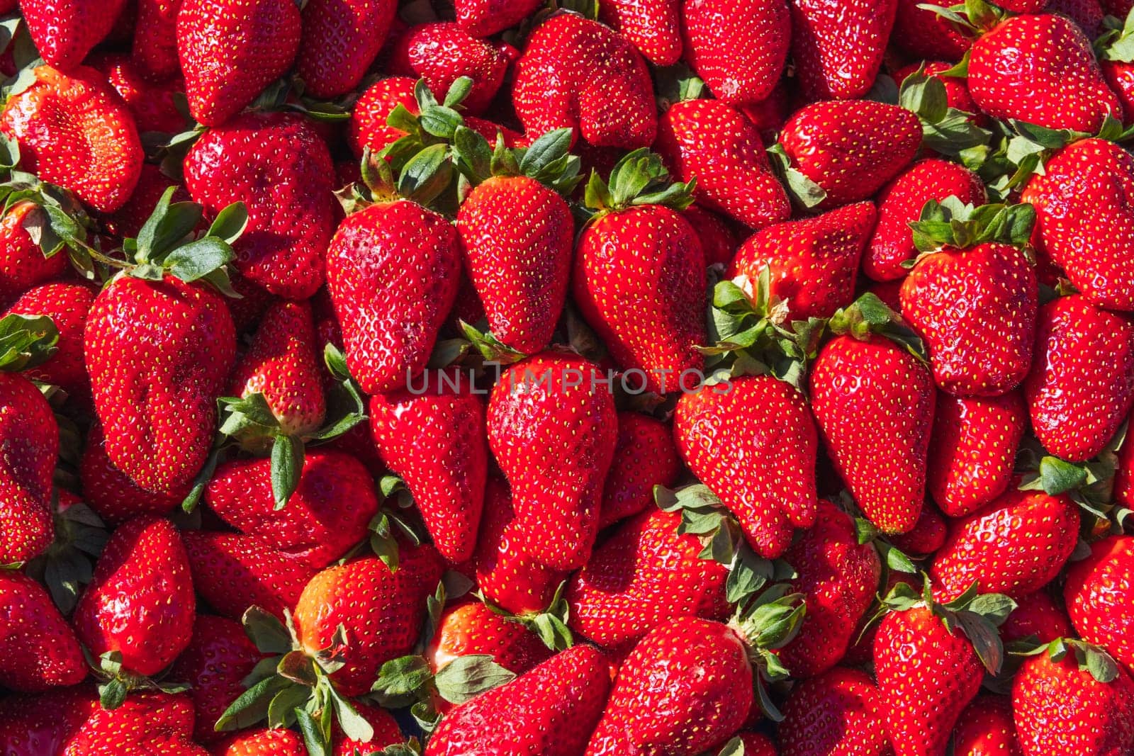 Red background of ripe strawberries. Close up, top view. High quality photo