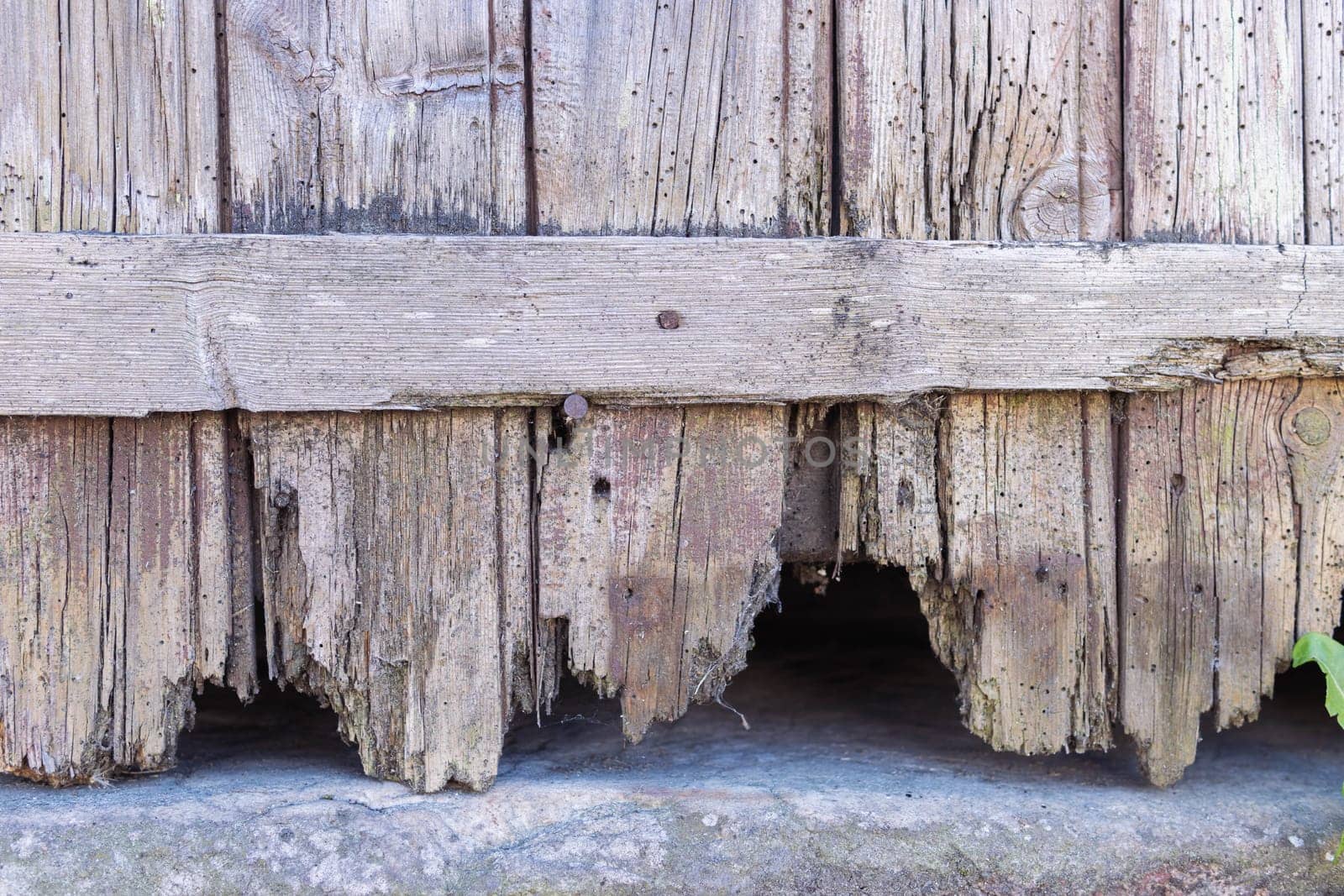 the old wooden fence is all rotten. The bottom of the fence is a close-up. High quality photo