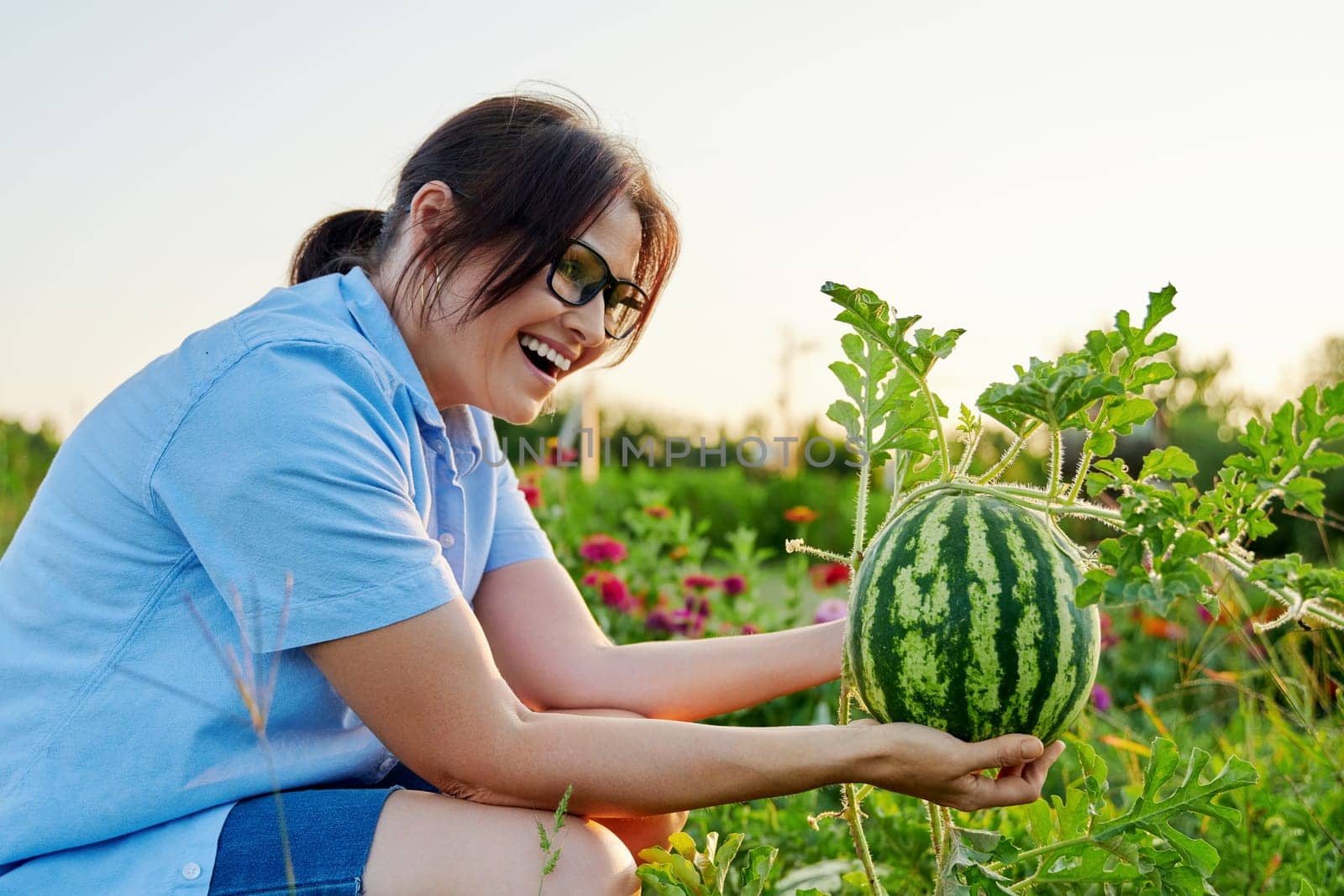 Woman gardener with watermelon berry in her hands, on watermelon garden. Happy female rejoicing in harvest, natural organic food, gardening, agriculture, summer autumn season, hobby, farming concept