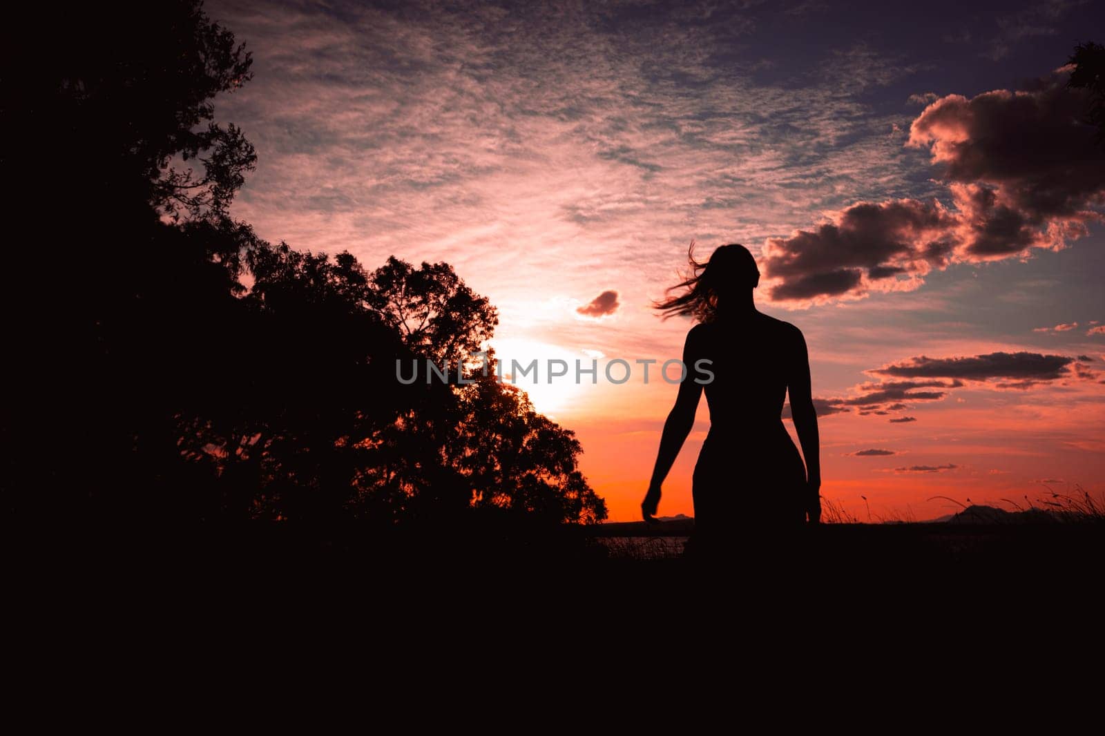 silhouette of a girl in a dress and hat at sunset in the park the girl looks at the sunset, there is a place for an inscription. High quality photo