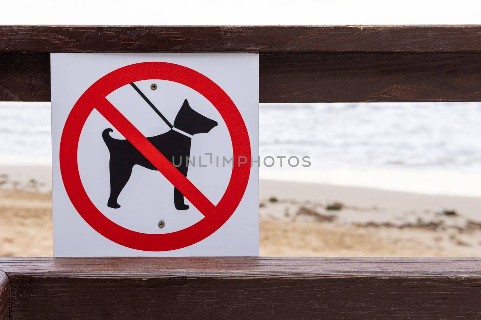 sign on the sea with dogs no entry isolated on the background of the beach by PopOff