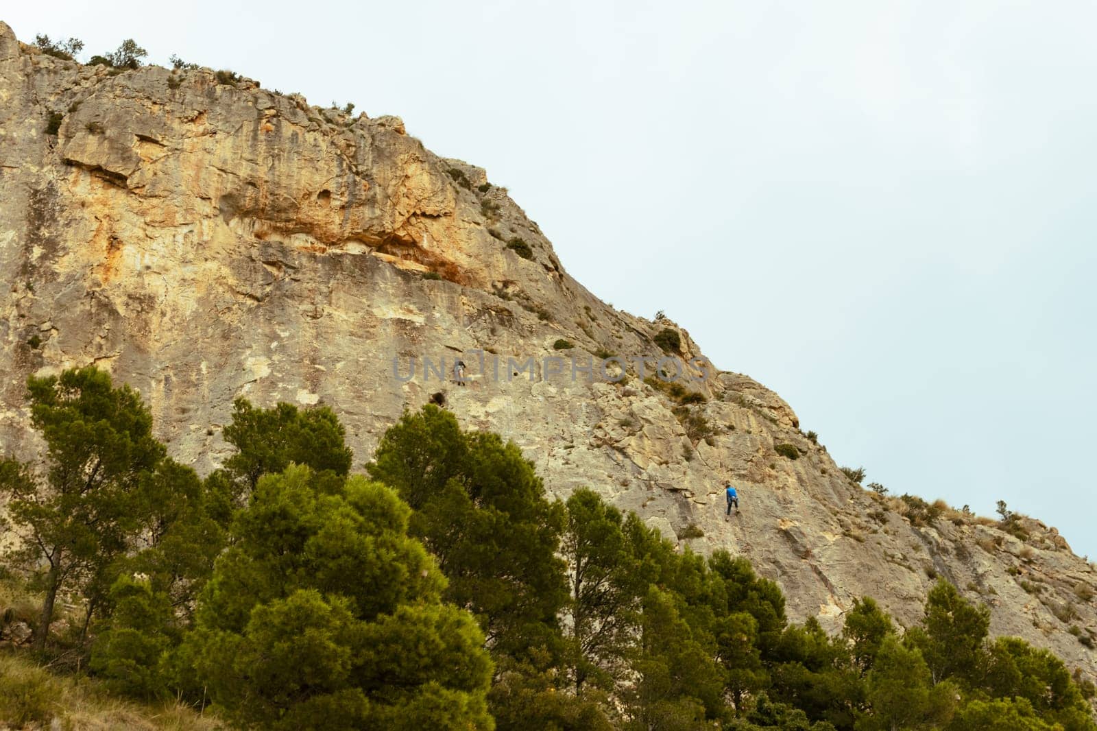 a stone wall with a yellow stone on a mountain grows green grass, a landscape with a place for an inscription. High quality photo